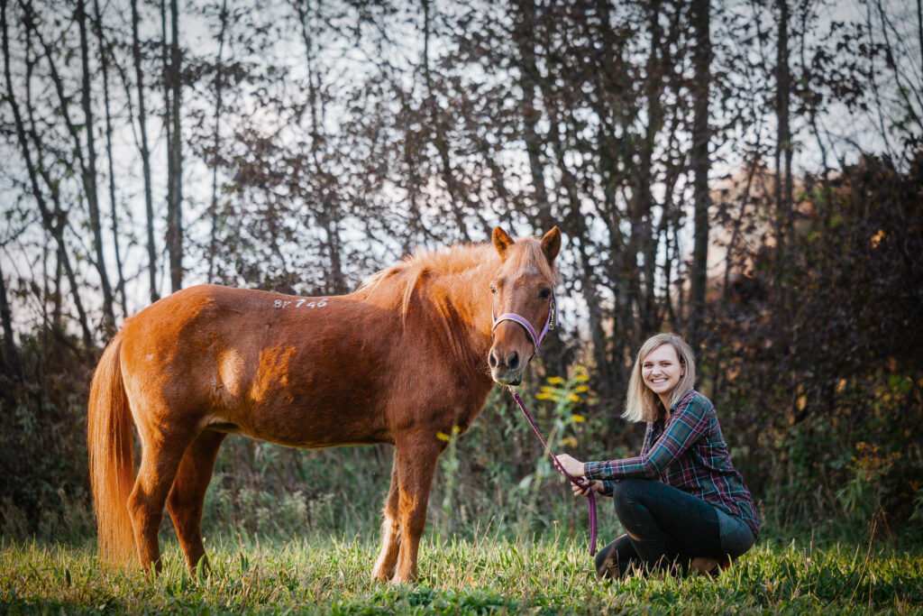 Ulrike Pferd