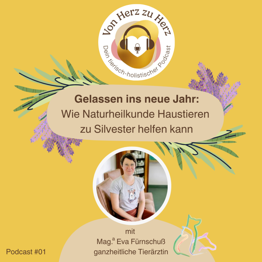 Gelassen ins neue Jahr: Wie Naturheilkunde Haustieren zu Silvester helfen kann. 2 Silvester Podcast Eva