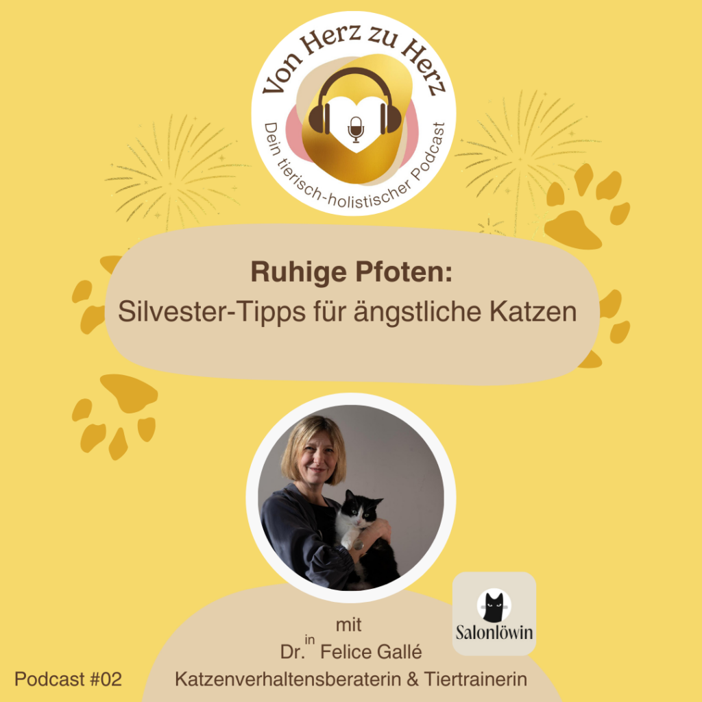Silvester Podcast Katzen Felice