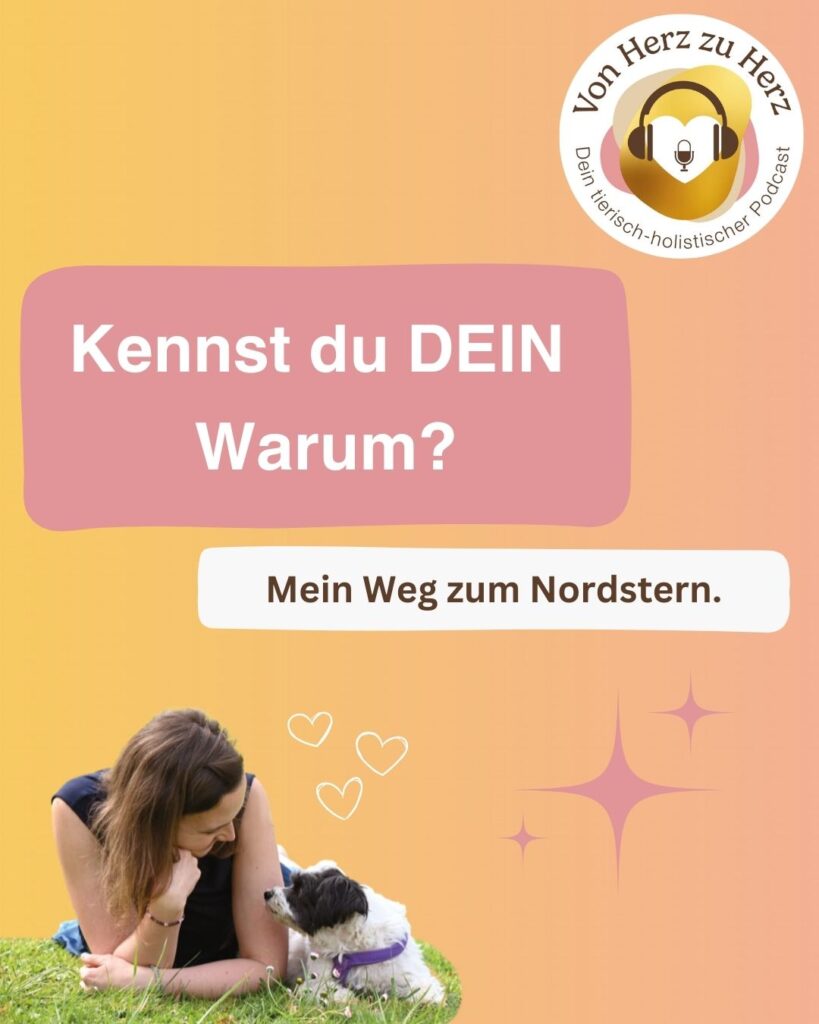 Kennst du dein WARUM2