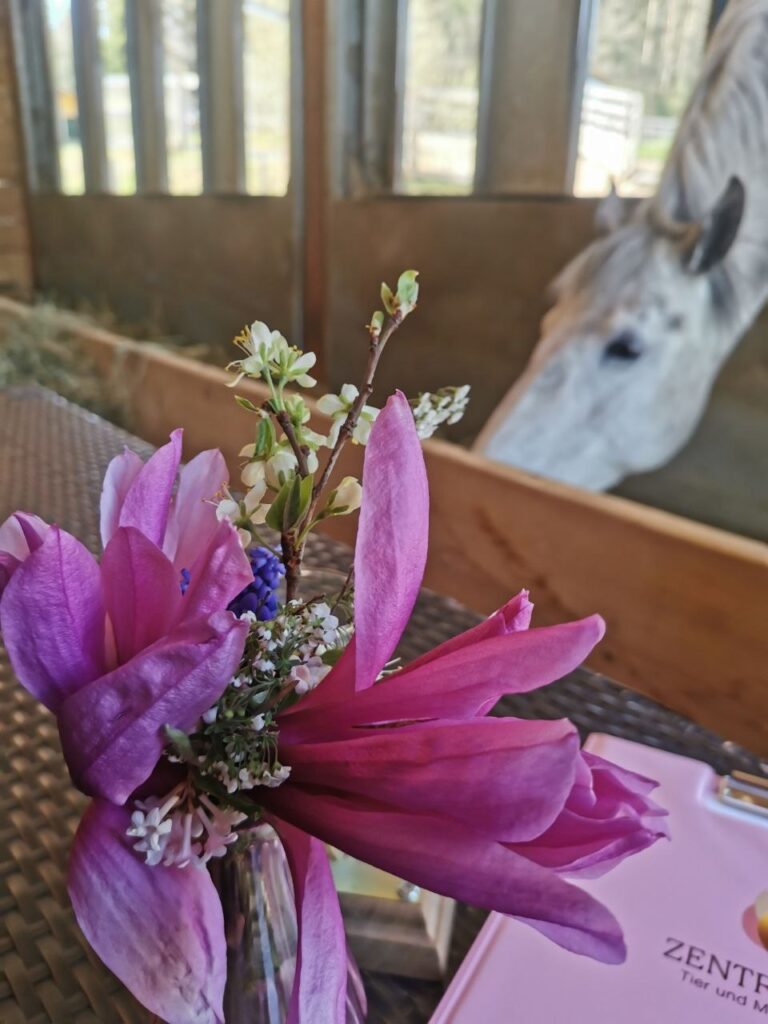 blume pferd