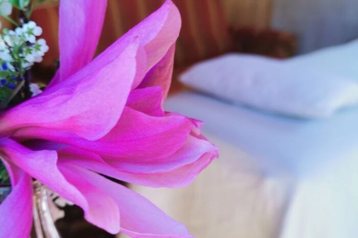 liebe blume e1776898708257