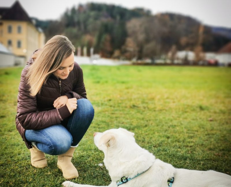 Persönlichkeitsentwicklung durch dein Tier