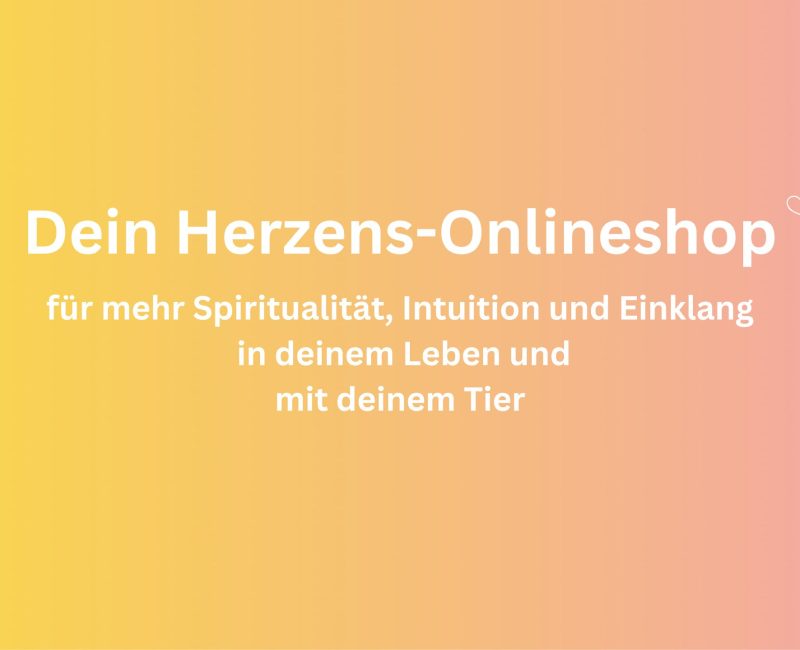 Mein Onlineshop!